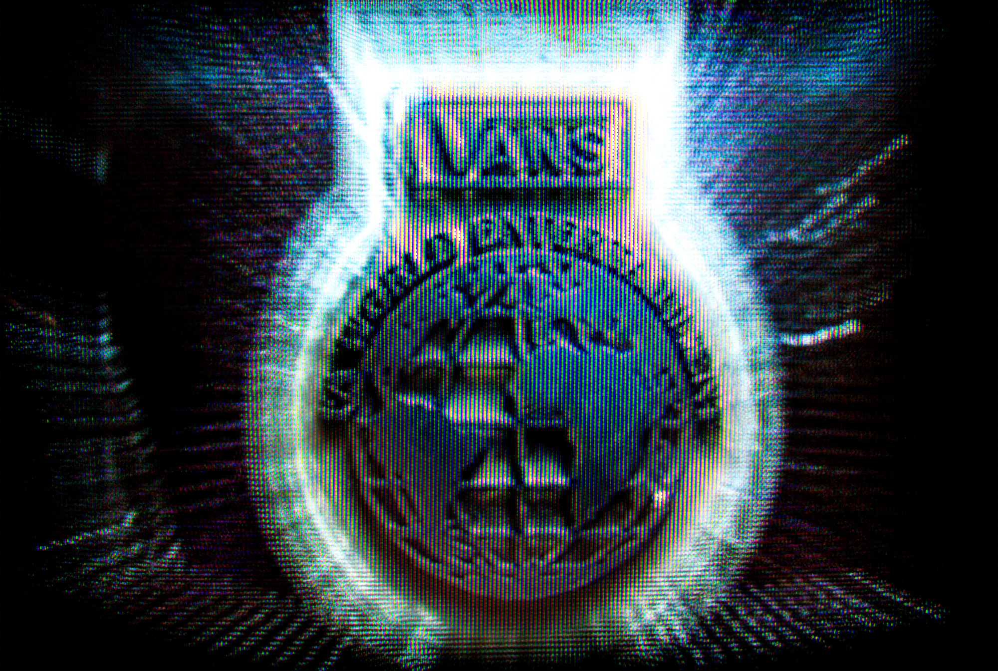 vans ave fa