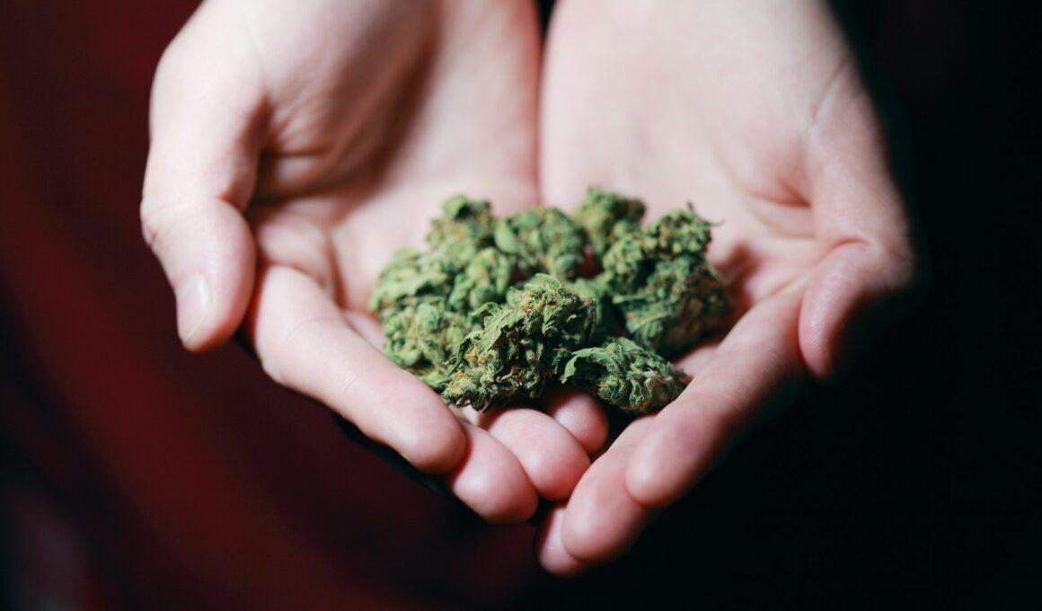 Cannabis - Weed