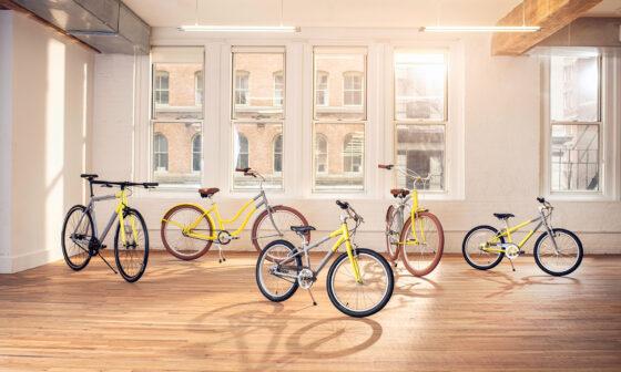 Priority Bicycles Pantone collection