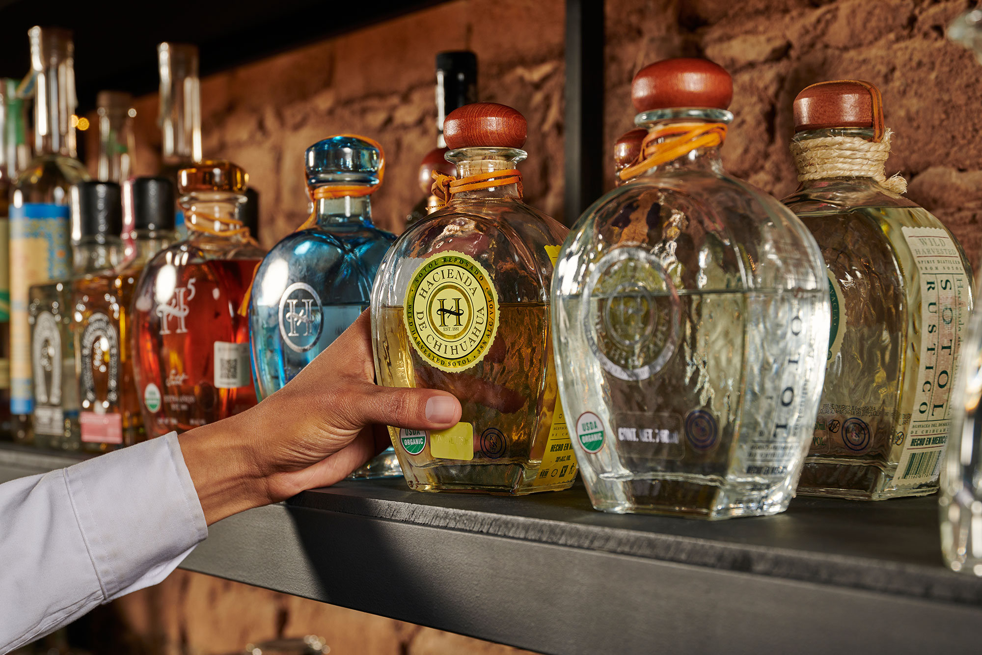 Looking For A Tequila Alternative? Hacienda de Chihuahua Sotol Has You Covered - Vimarsana News